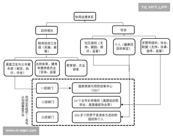 各级体育组织正从分散运营转向协同治理 构建全域联动新机制